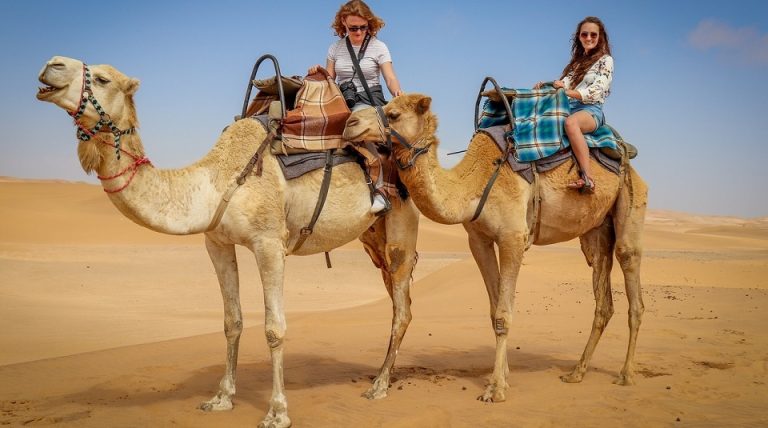 About Camel Safari Ride In Dubai Desert