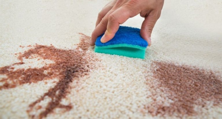 Things to Know And Questions To Ask Before Hiring a Carpet Cleaner￼￼