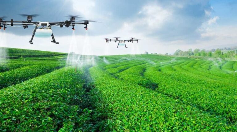 Innovative Ways Technology Drives Sustainability in Agriculture
